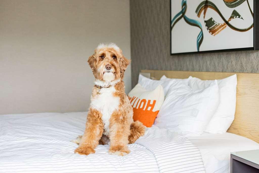 Cambria Hotel Burbank Airport Rom bilde
