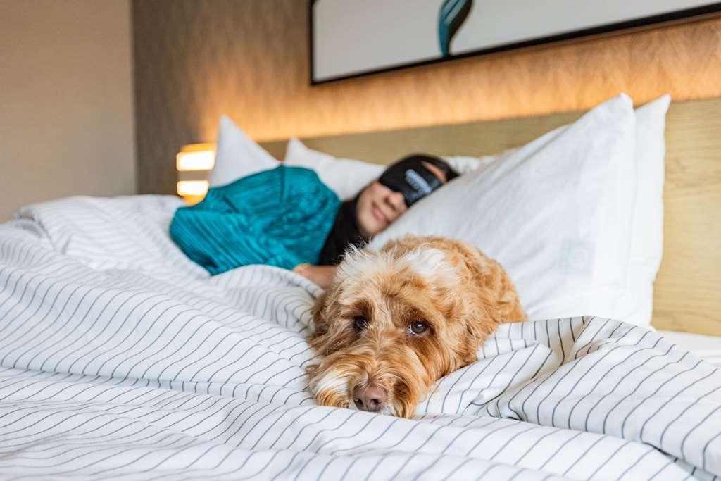 Cambria Hotel Burbank Airport Rom bilde